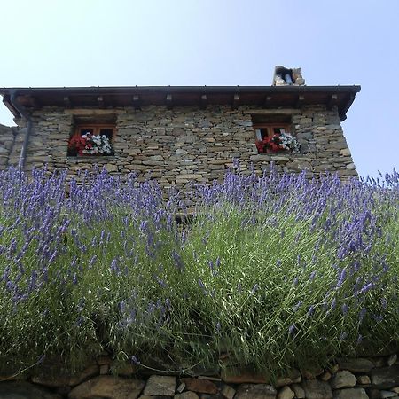 Agriturismo La Fontana Dell'Olmo Hotel Molini di Triora Zewnętrze zdjęcie