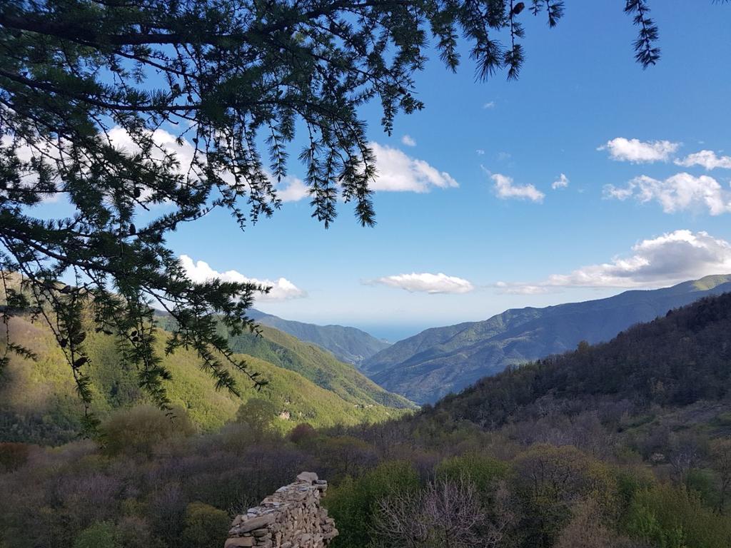 Agriturismo La Fontana Dell'Olmo Hotel Molini di Triora Zewnętrze zdjęcie